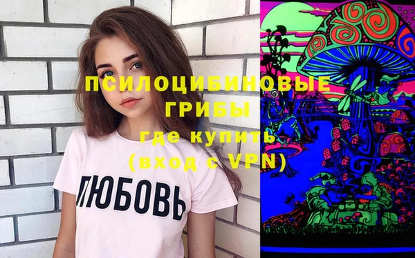 ПСИЛОЦИБИНОВЫЕ ГРИБЫ Балахна