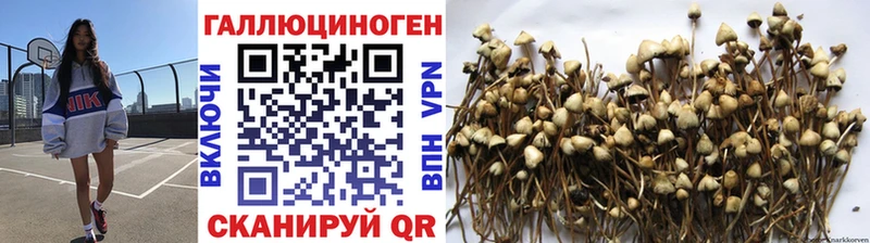 Галлюциногенные грибы мухоморы  Староминская 